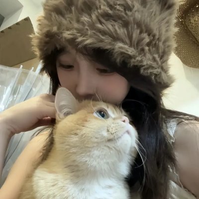 拜访森林